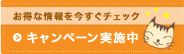 カンタン内窓本舗のお得なキャンペーンを今すぐチェック!